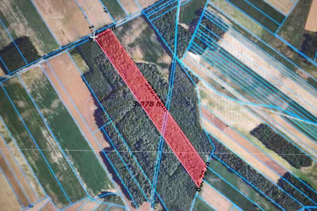 Działka leśna Gromadzyn-Wykno. Zdjęcie 1