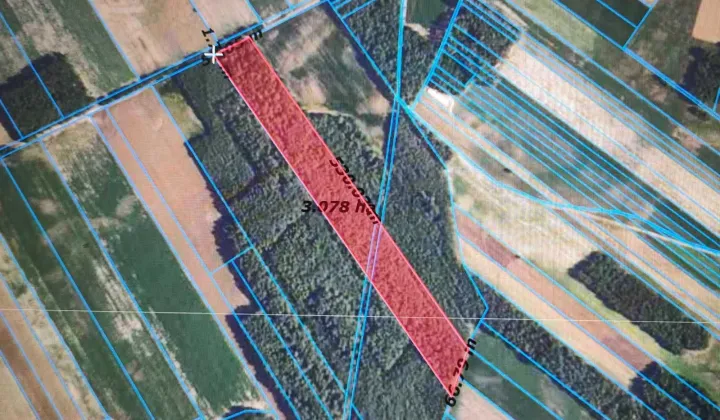 Działka leśna Gromadzyn-Wykno