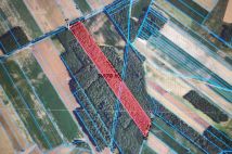 Działka leśna Gromadzyn-Wykno