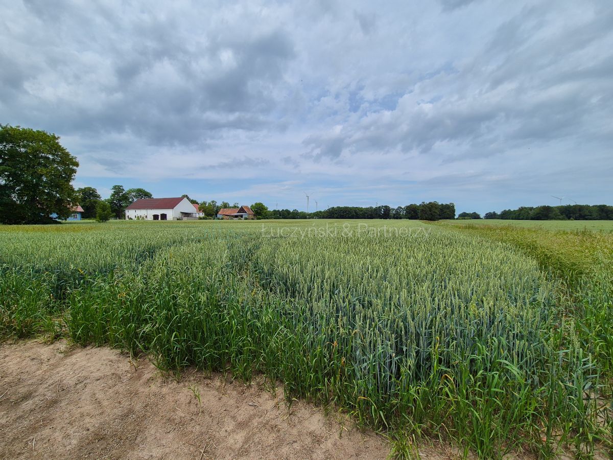 Działka siedliskowa Nowa Wieś Złotoryjska. Zdjęcie 4