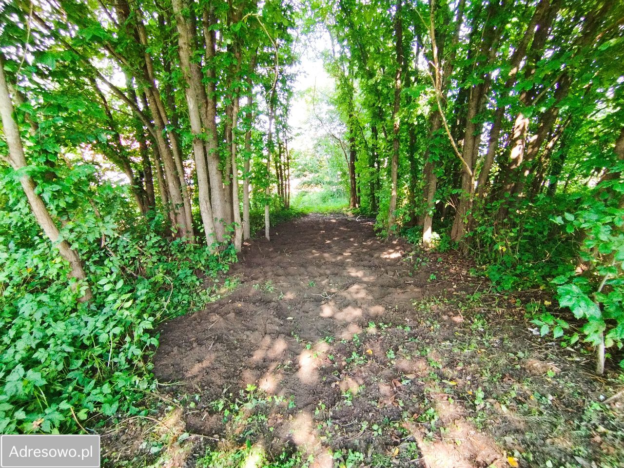 Działka rolno-budowlana Czymanowo. Zdjęcie 14