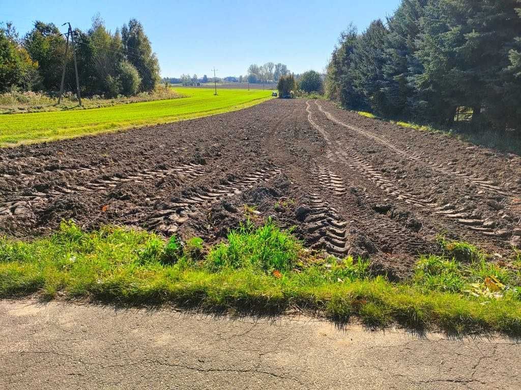 Działka rolno-budowlana Panieńszczyzna. Zdjęcie 5
