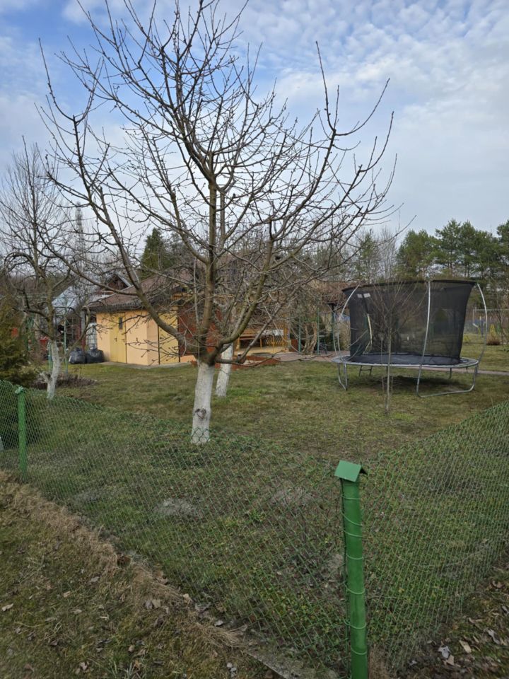 Działka rod Połaniec, ul. Działkowców. Zdjęcie 5