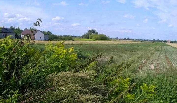 Działka siedliskowa Milęcin, Milęcin