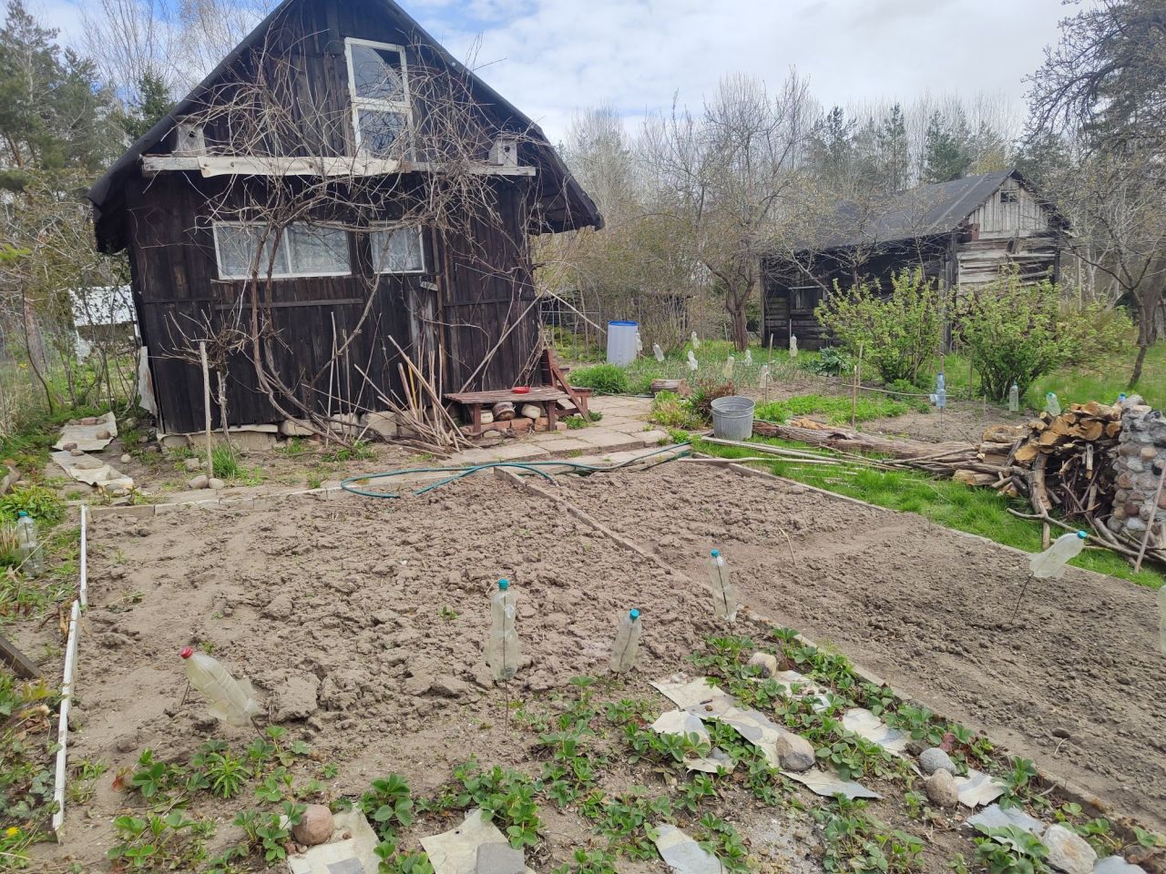 Działka rod Olsztyn. Zdjęcie 3