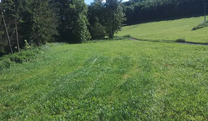 Działka budowlana Cisownica