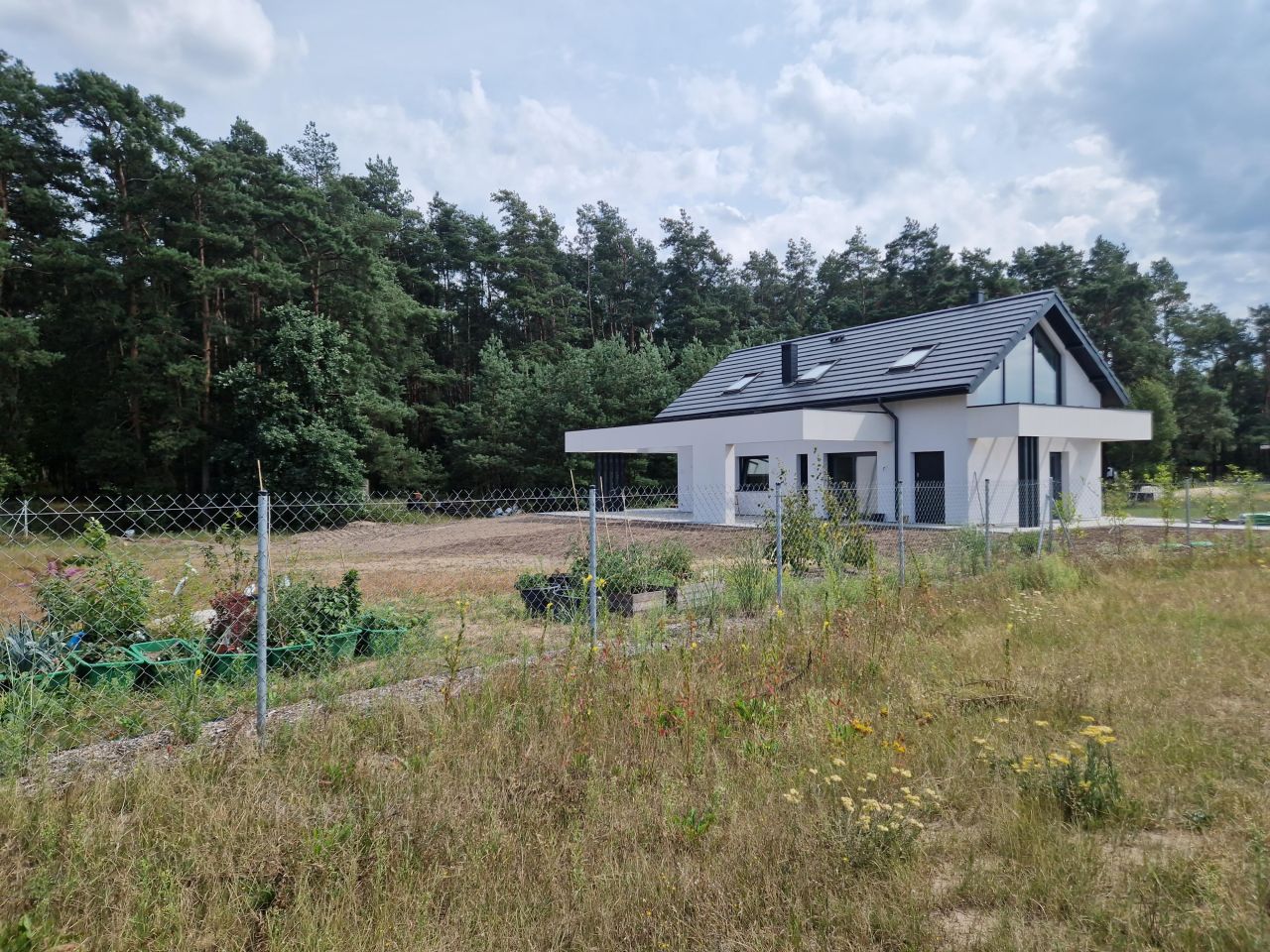 Działka rolna Krajęczyn. Zdjęcie 6