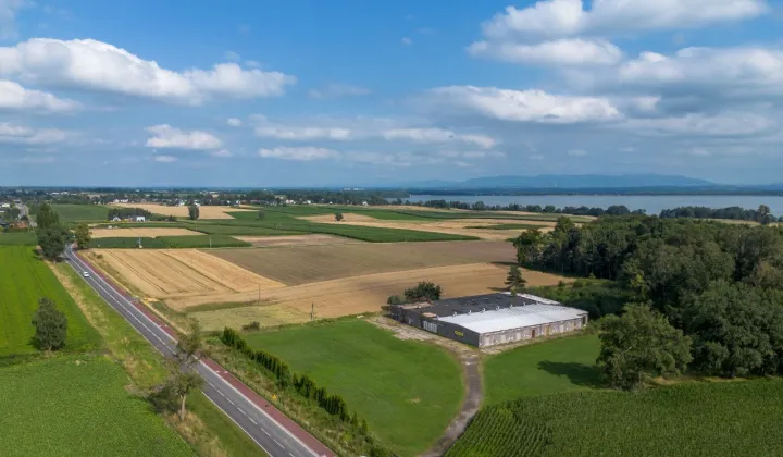 Hala/magazyn Łąka, ul. Turystyczna