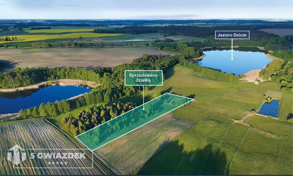 Działka budowlana Dziki. Zdjęcie 9