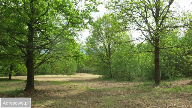 Działka rolno-budowlana Gorzków. Zdjęcie 1