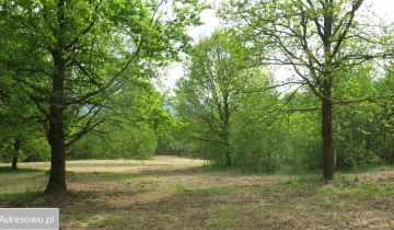 Działka rolno-budowlana Gorzków