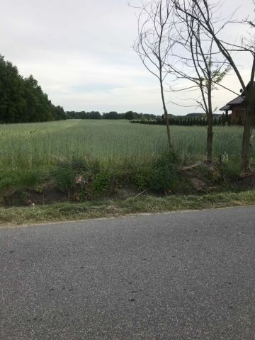 Działka rolno-budowlana Cekanów. Zdjęcie 1