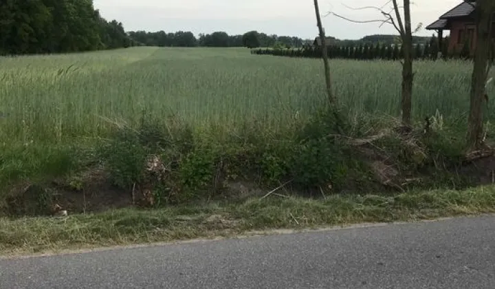 Działka rolno-budowlana Cekanów