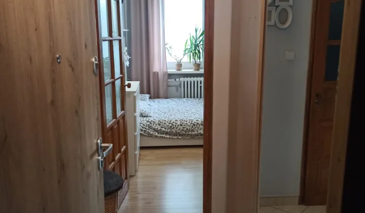 Mieszkanie 2-pokojowe Łódź Polesie, ul. Jana Długosza