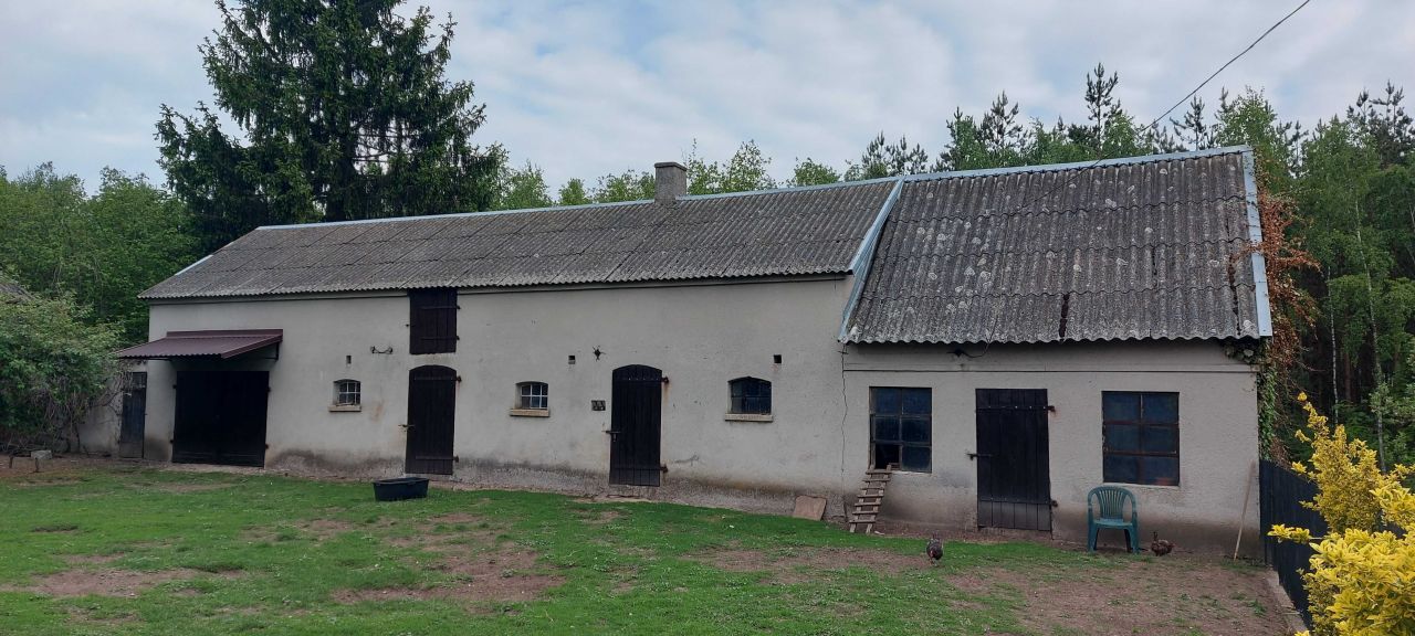 Działka siedliskowa Przerodki. Zdjęcie 6