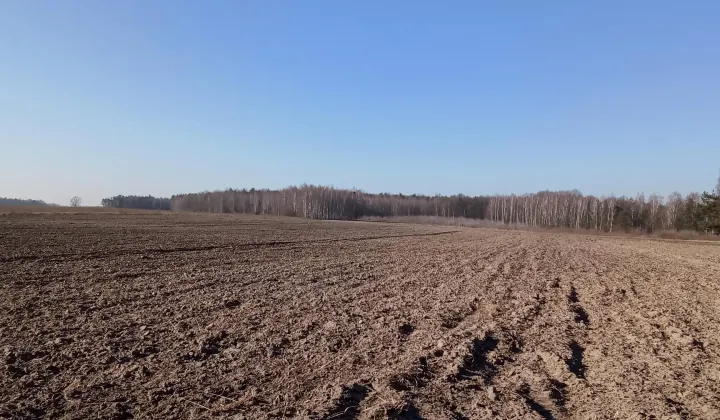 Działka rolna Helenów