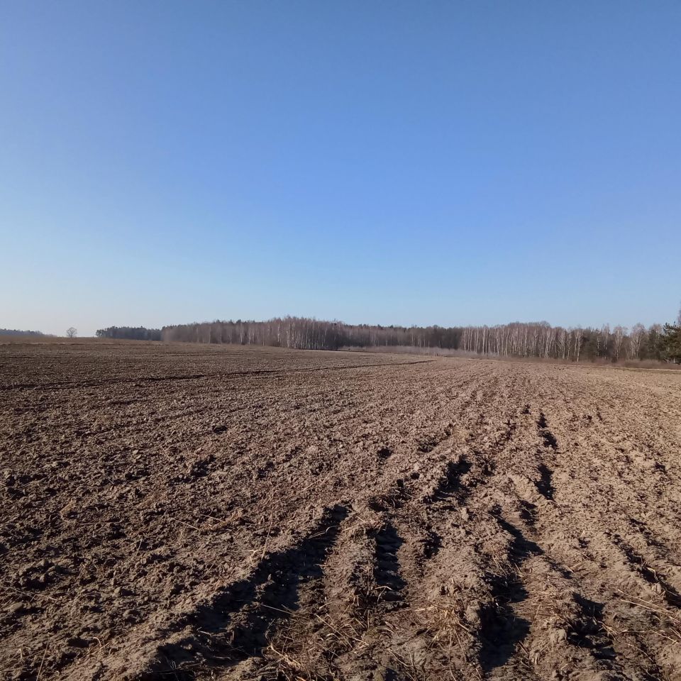 Działka rolna Helenów. Zdjęcie 1