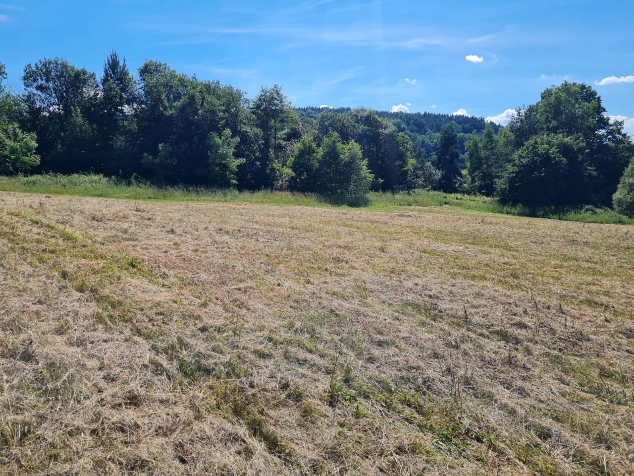 Działka rolna Berezka, ul. Graniczna. Zdjęcie 3