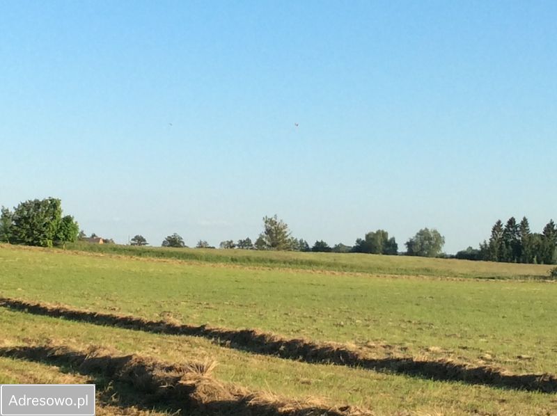 Działka rolna Niegoszcz. Zdjęcie 8