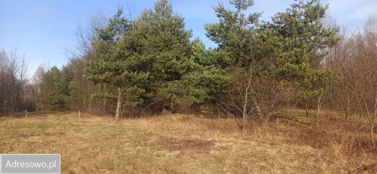 Działka rolna Przybynów, ul. Łąkowa