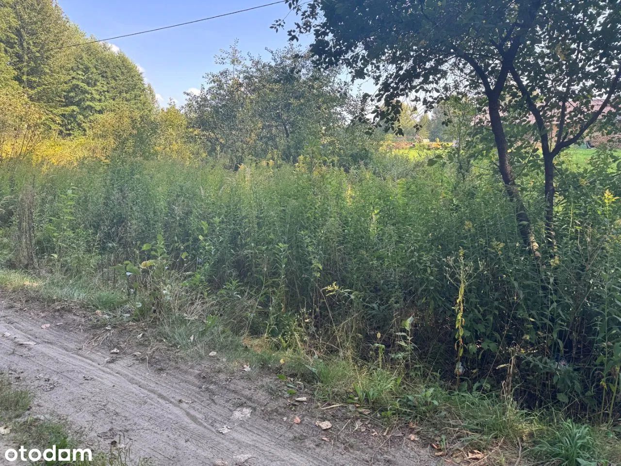 Działka rolno-budowlana Wierzchowiny. Zdjęcie 2