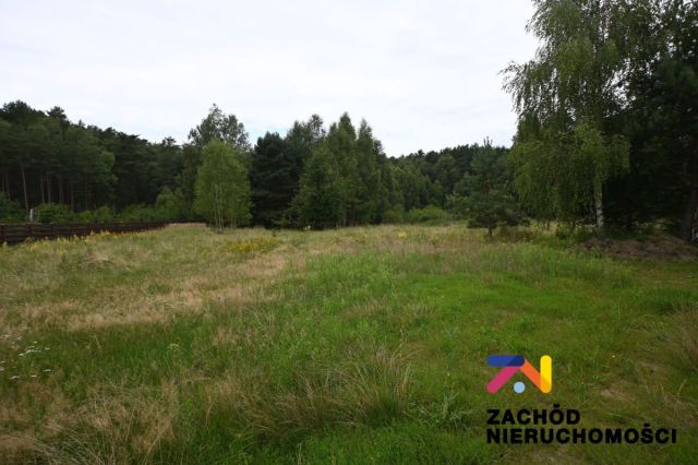 Działka budowlana Czarna. Zdjęcie 1