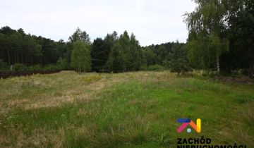Działka budowlana Czarna