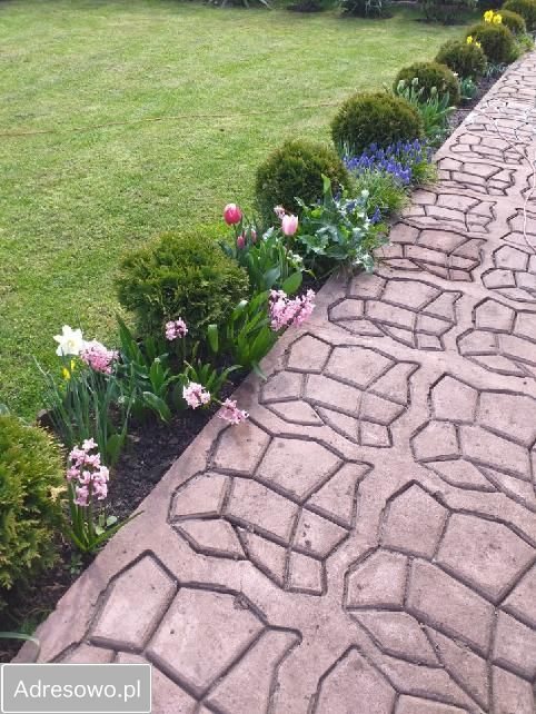 Działka rod Ząbki, ul. Skrajna. Zdjęcie 16