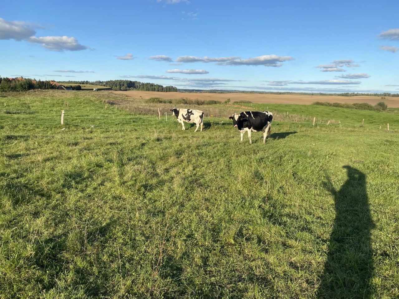 Działka budowlana Jeziorowskie, Jeziorowskie. Zdjęcie 3