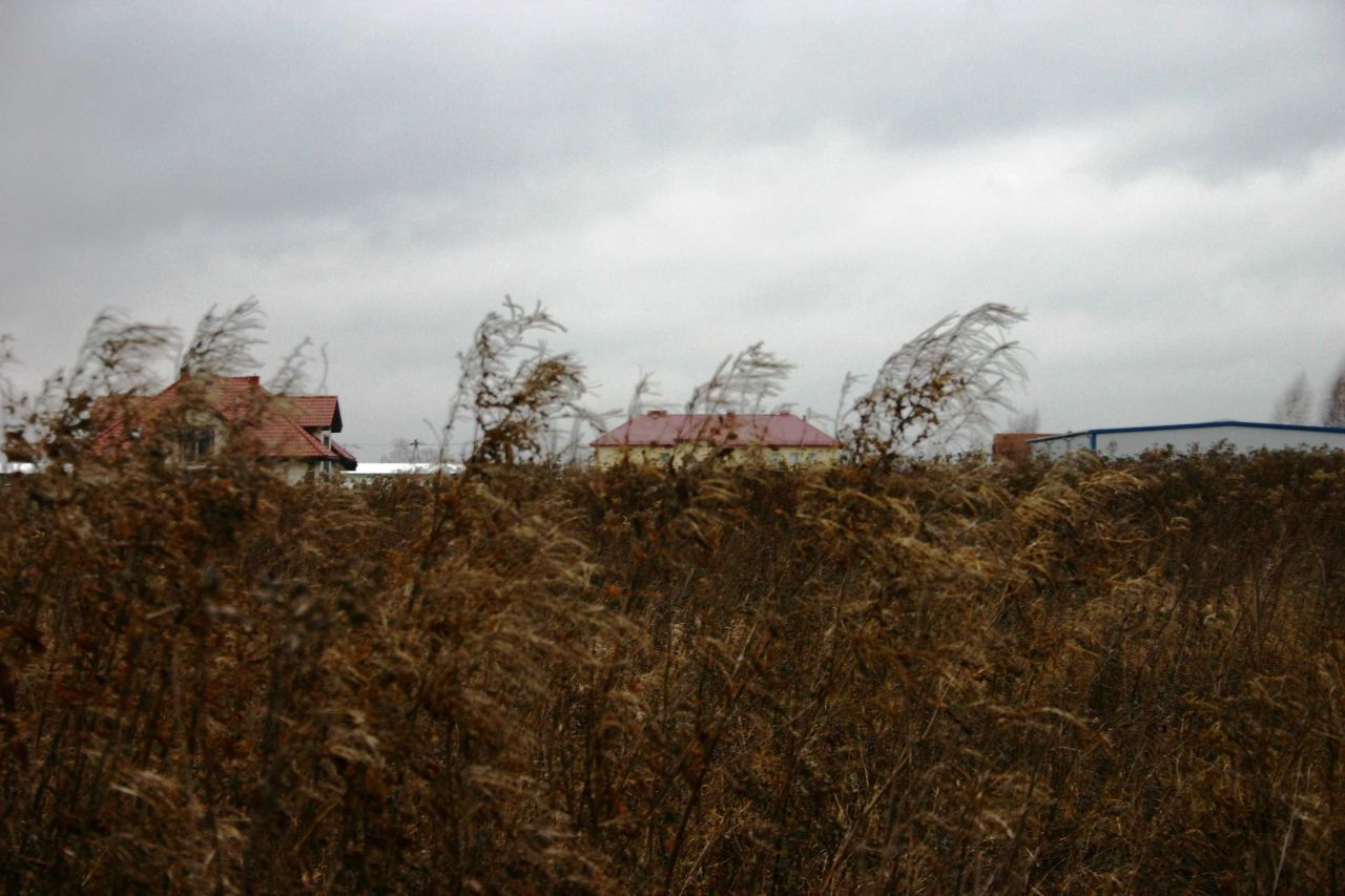 Działka budowlana Wolica, ul. Sękocińska. Zdjęcie 7