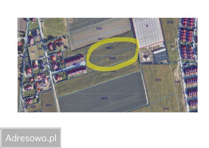 Działka rolna Ołtarzew, ul. Duchnicka. Zdjęcie 8