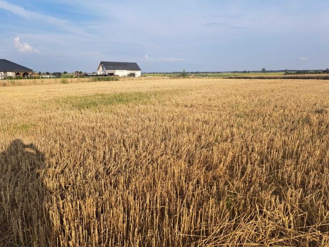 Działka rolno-budowlana Kowrózek. Zdjęcie 1