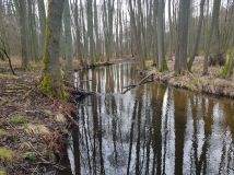 Działka inwestycyjna Wiesiółka. Zdjęcie 4