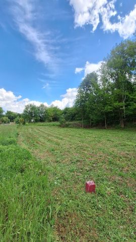 Działka budowlana Chwaliszów. Zdjęcie 1