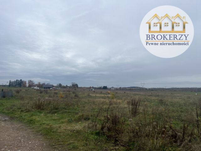 Działka rolna Cewlino. Zdjęcie 3
