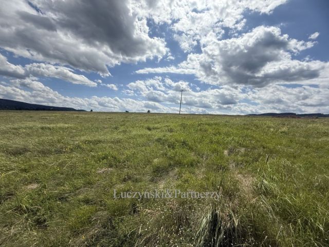 Działka inwestycyjna Olszyny. Zdjęcie 4