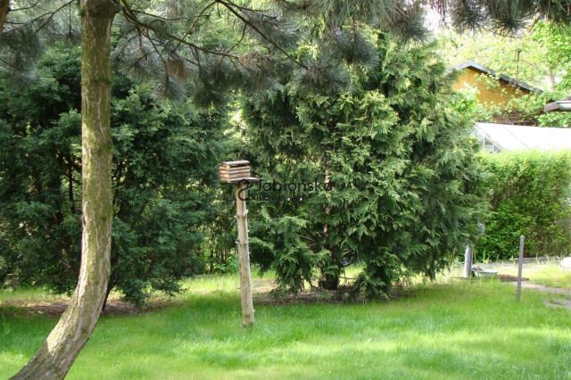 Działka rekreacyjna Bydgoszcz. Zdjęcie 2