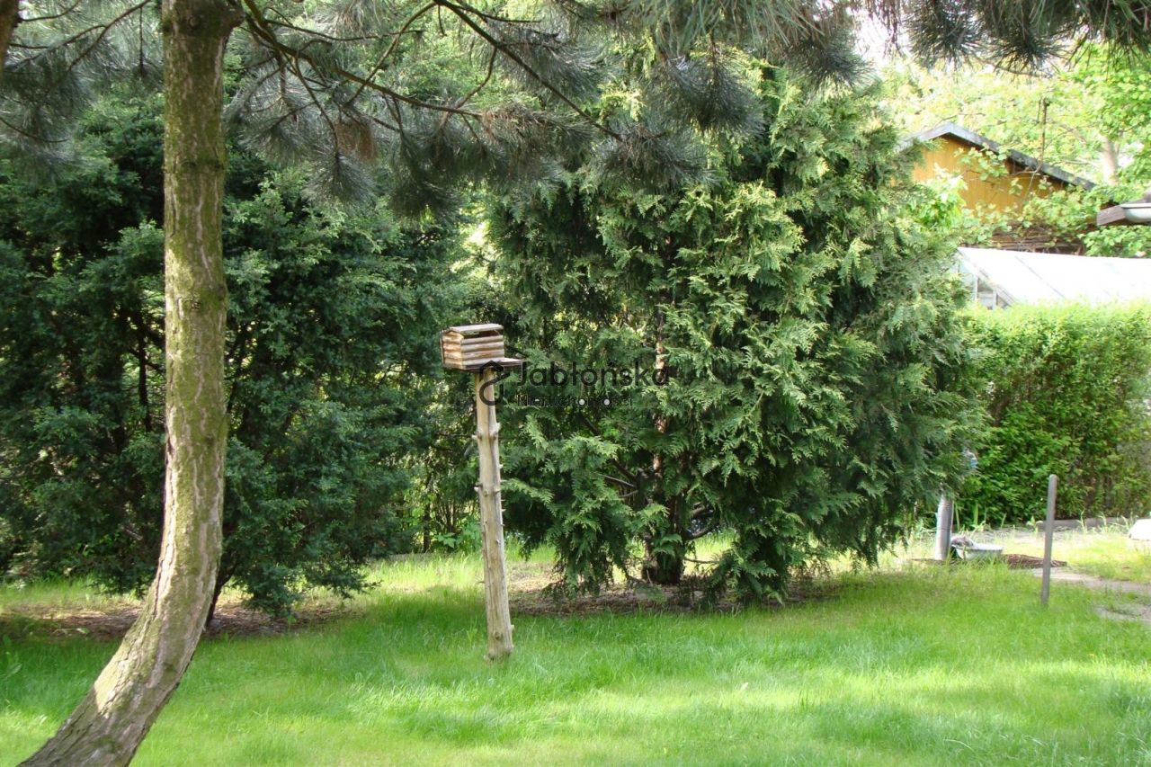 Działka rod Bydgoszcz. Zdjęcie 1