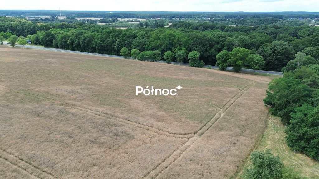 Działka inwestycyjna Dąbrowa Bolesławiecka. Zdjęcie 6