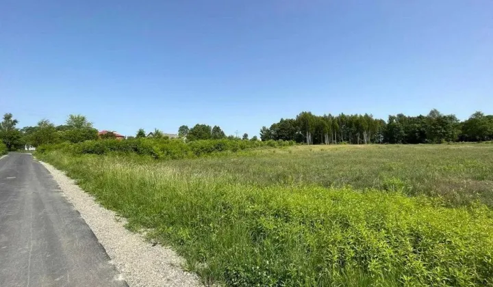 Działka budowlana Przyłęk