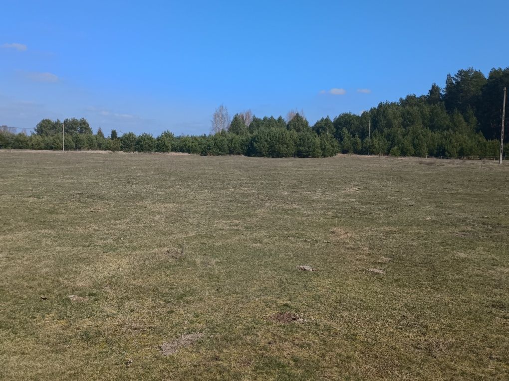 Działka rekreacyjna Mącice. Zdjęcie 5