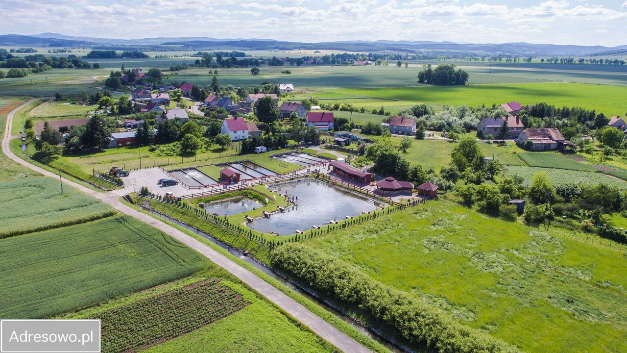 Działka rekreacyjna Bolkowice. Zdjęcie 4