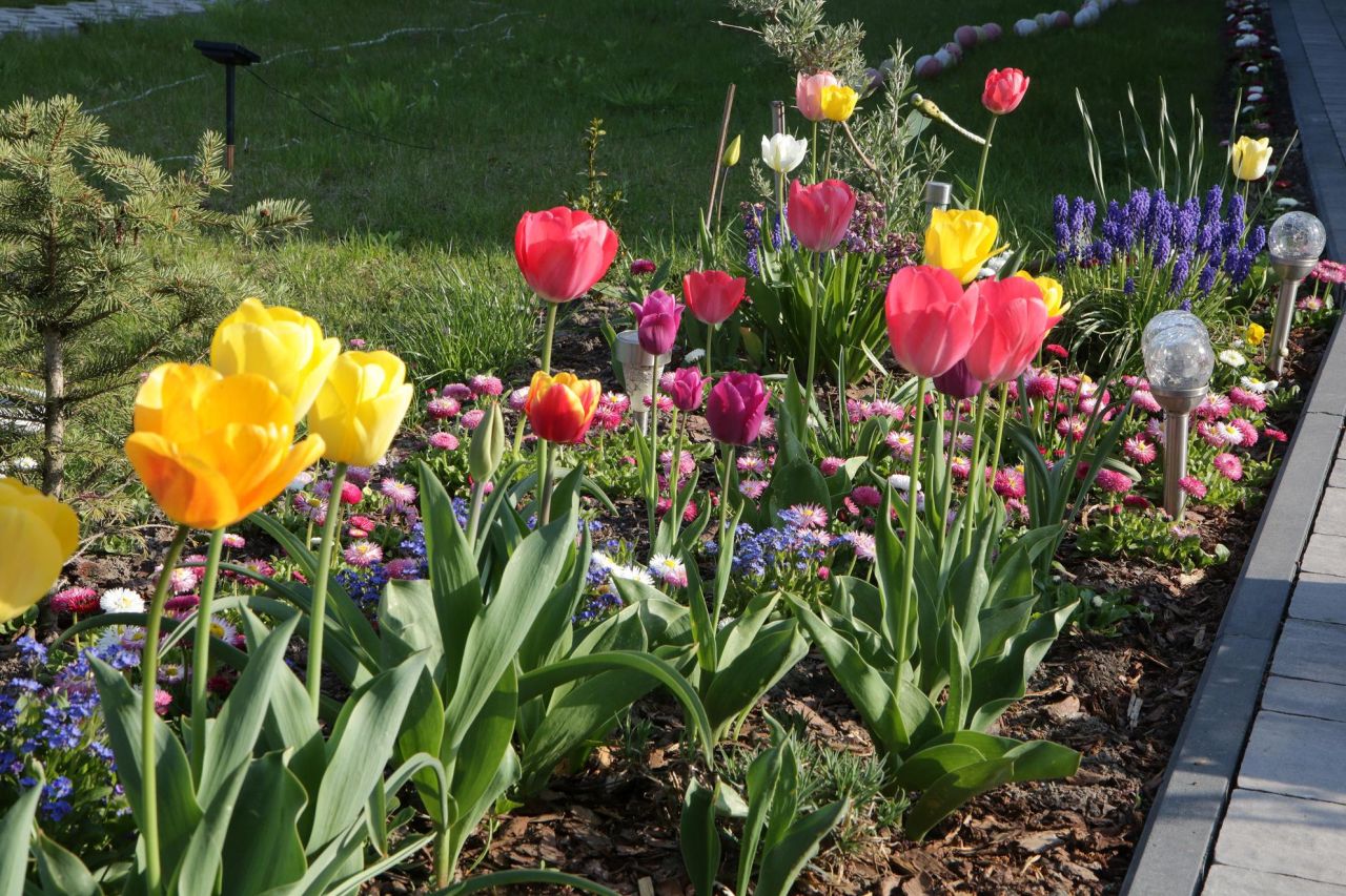 dom wolnostojący, 3 pokoje Drwalew, ul. Słoneczna. Zdjęcie 13