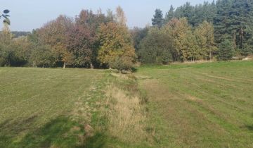 Działka budowlana Czernikowice