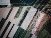 Działka rolna Kraszkowice Kolonia Krzeczowska. Zdjęcie 1