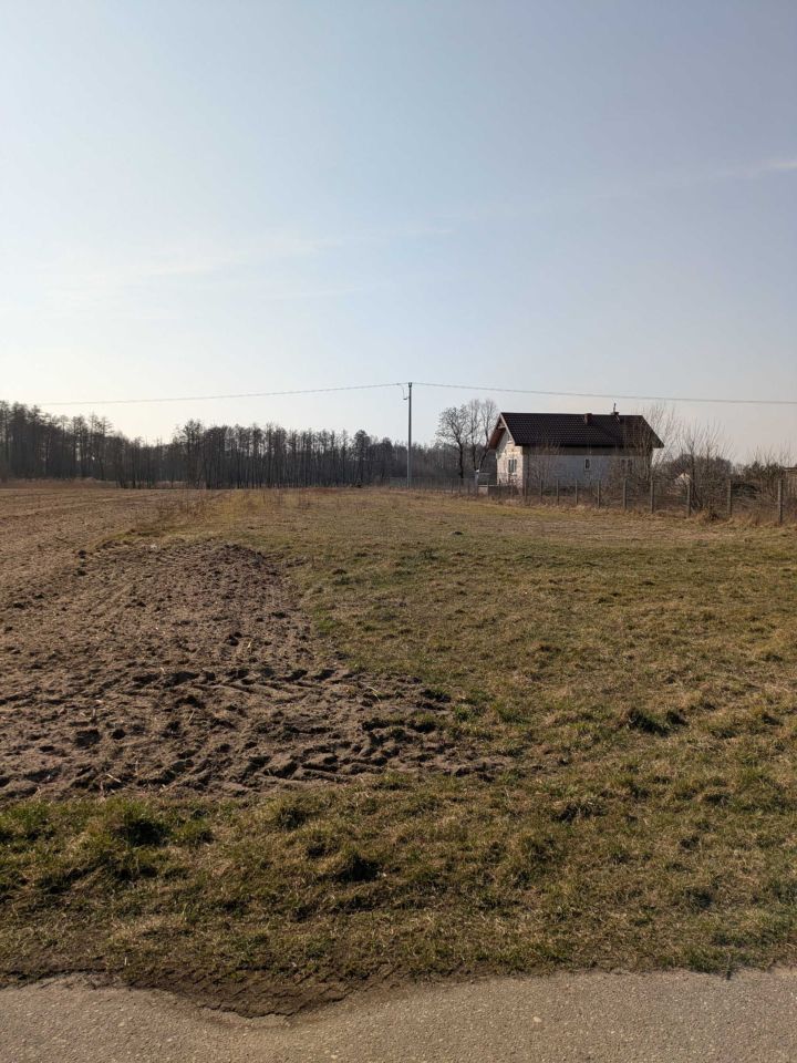 Działka rolna Szczawin. Zdjęcie 3