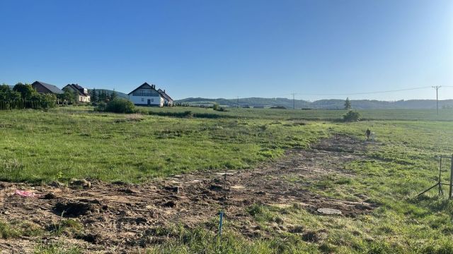 Działka budowlana Lutomia Dolna Mała Lutomia. Zdjęcie 1