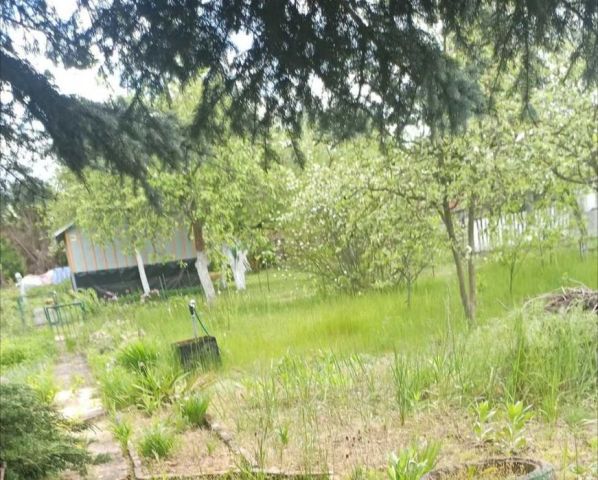 Działka rod Zielona Góra Ochla, ul. Ochla-Kożuchowska. Zdjęcie 1