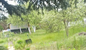 Działka rod Zielona Góra Ochla, ul. Ochla-Kożuchowska