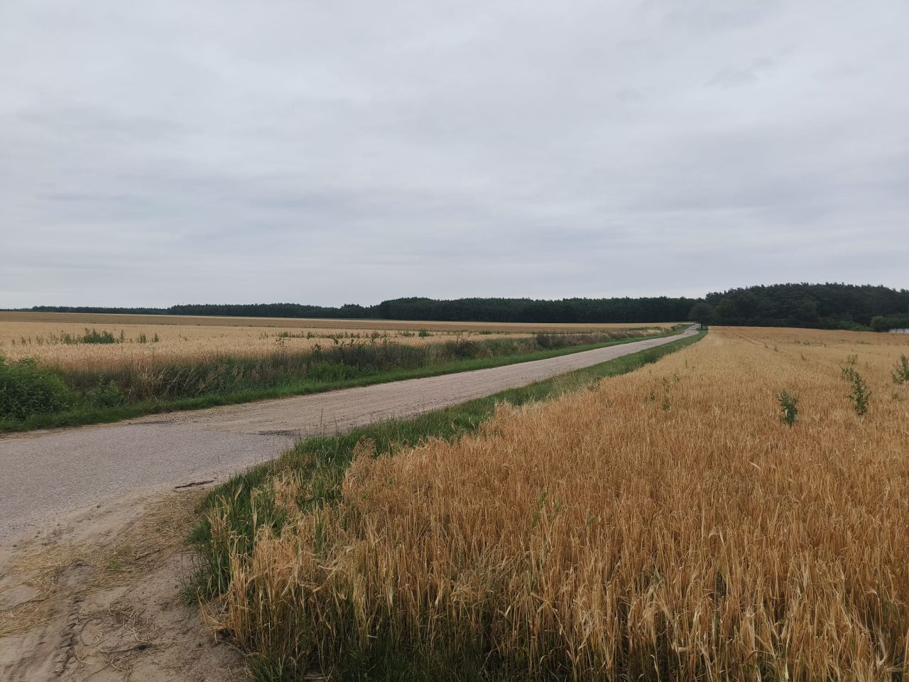 Mieszkanie 2-pokojowe Borecznia Wielka Borecznia Mała, Borecznia Mała. Zdjęcie 14